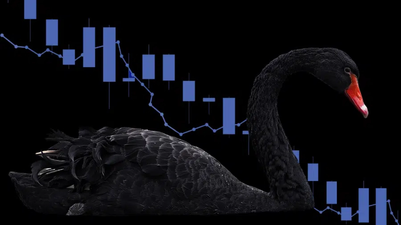 4 tips on surviving Black Swan events in crypto market