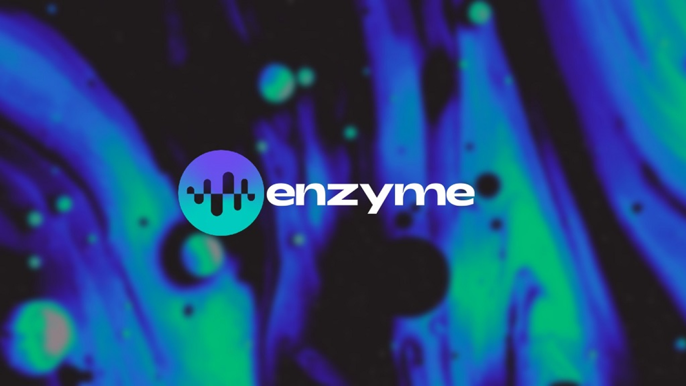 How Enzyme Finance Works
