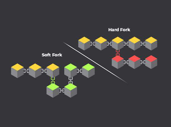 فورک، انشعاب یا شاخه Fork